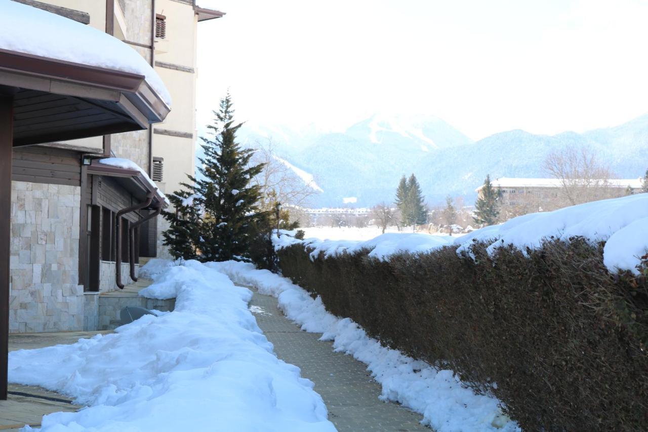 Private Apartments In Alpine Lodge バンスコ エクステリア 写真