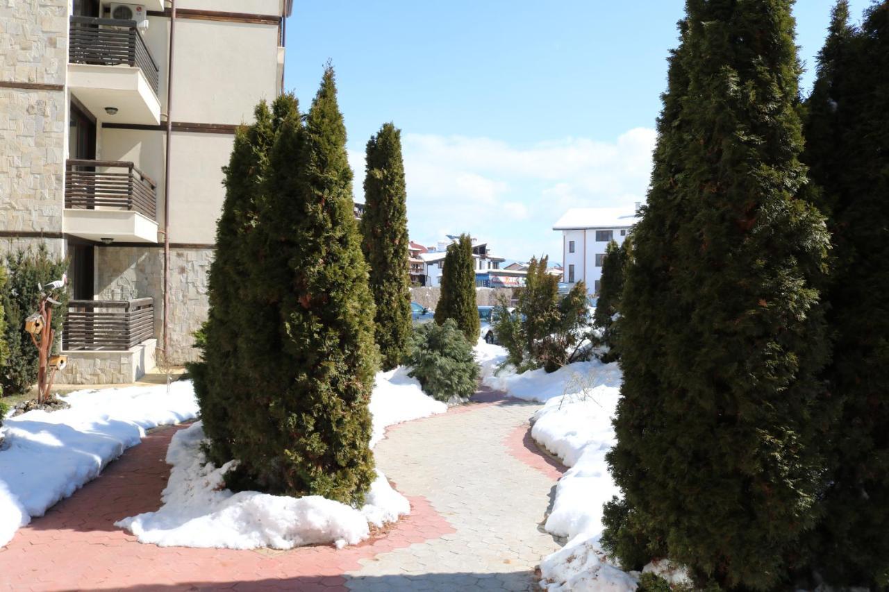 Private Apartments In Alpine Lodge バンスコ エクステリア 写真