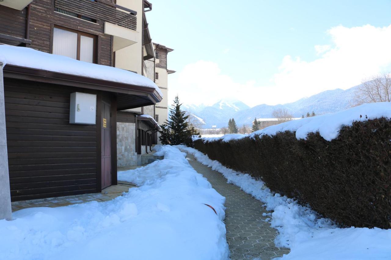 Private Apartments In Alpine Lodge バンスコ エクステリア 写真
