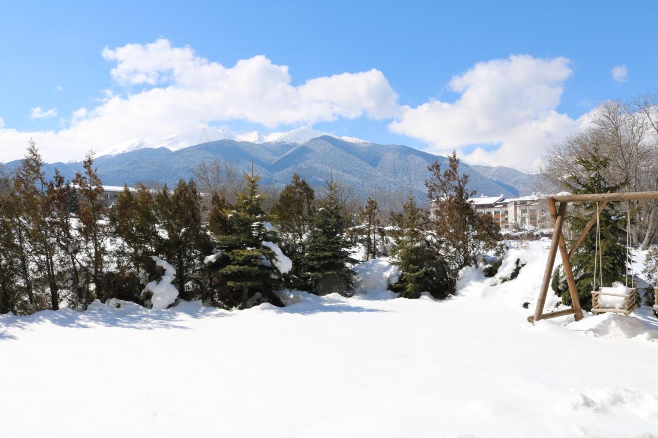 Private Apartments In Alpine Lodge バンスコ エクステリア 写真