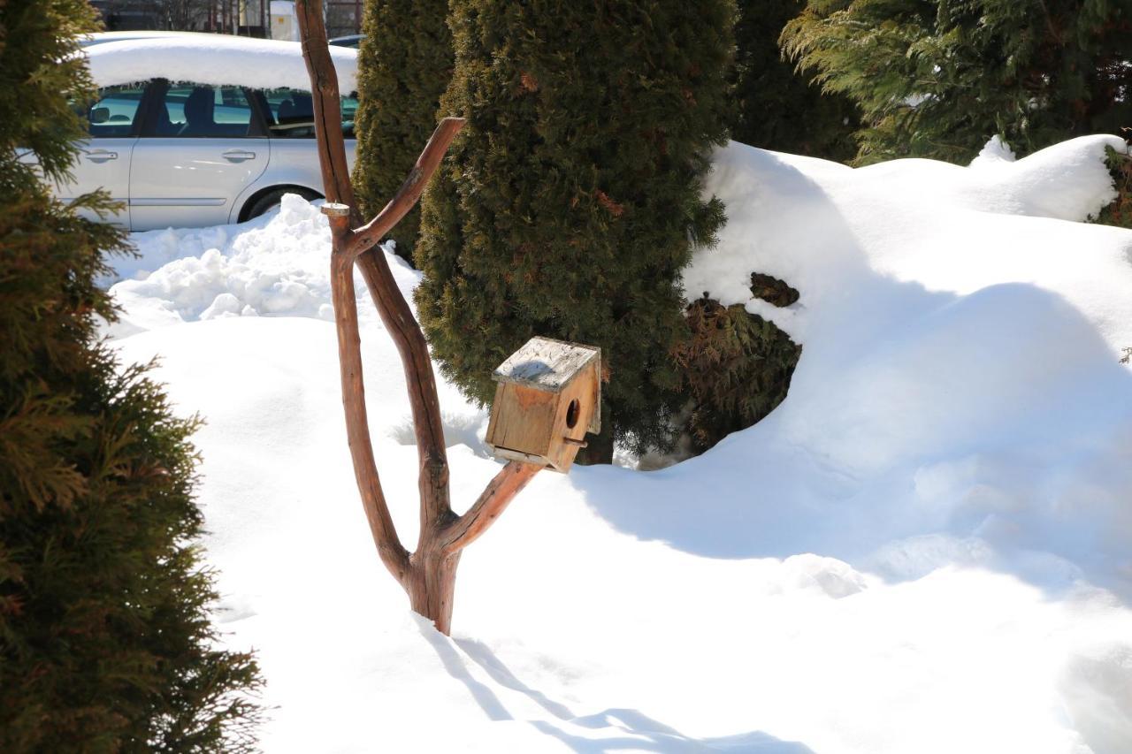 Private Apartments In Alpine Lodge バンスコ エクステリア 写真